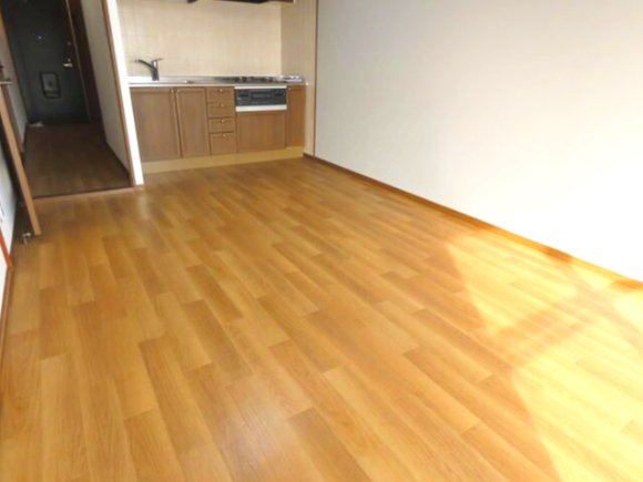 グレイス清水ヶ丘公園の居間・リビング