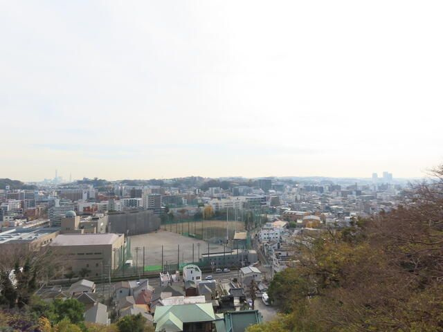 グレイス清水ヶ丘公園の展望