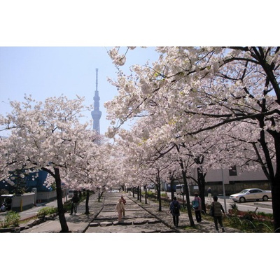 【周辺】 | ハウス１７１ | 公園「山谷堀公園まで855ｍ」山谷堀公園