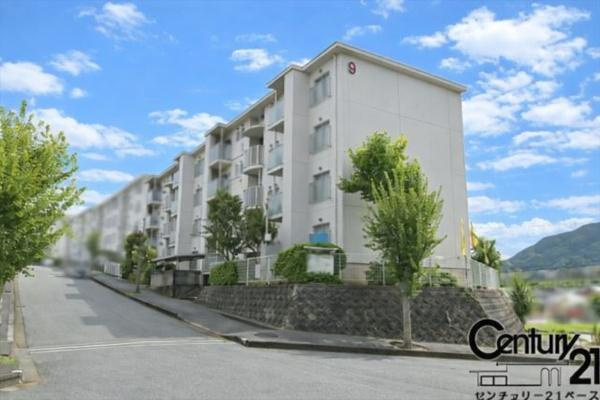 関屋あしびハイツ９号棟のその他|■現地撮影写真■落ち着いた雰囲気の住居エリアです！