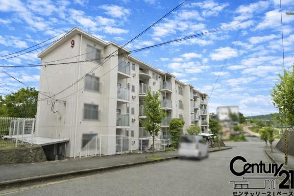 関屋あしびハイツ９号棟のその他|■現地撮影写真■ほっと落ち着く住環境！ぜひお気軽にお問い合わせください！