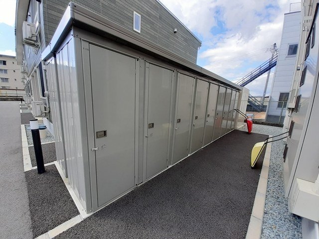 マスカット　ベリー　Ｂのその他