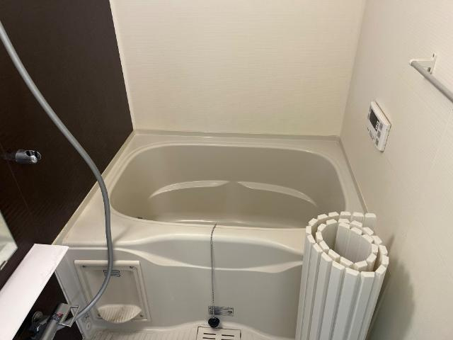 Ｒｉｃｈ　Ｓｅｎｔｉｒ（リッシュ　サンティール）の浴室|バス