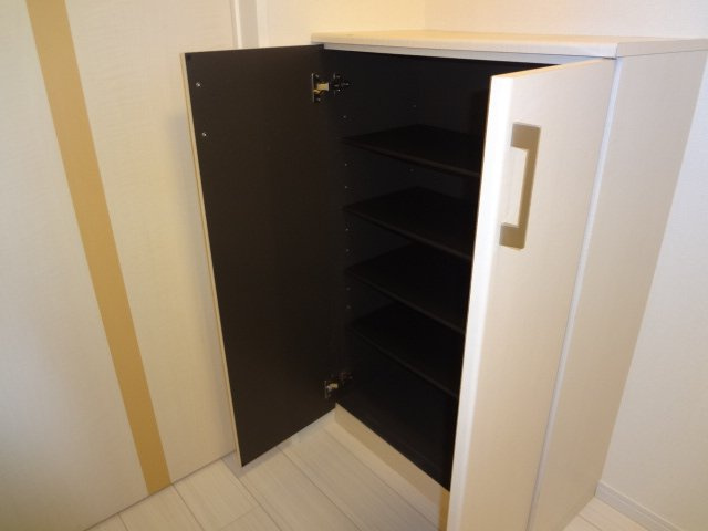 カーサ・アバンティーの収納|下駄箱