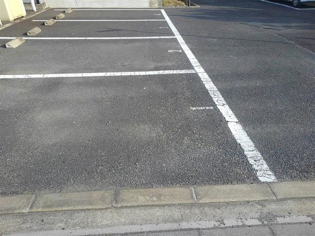 レオネクストリバーサイド堀割のその他