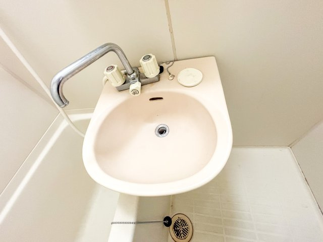 コーポ泰山の洗面所