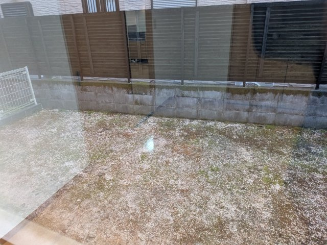 ルネッサンスみやのの展望