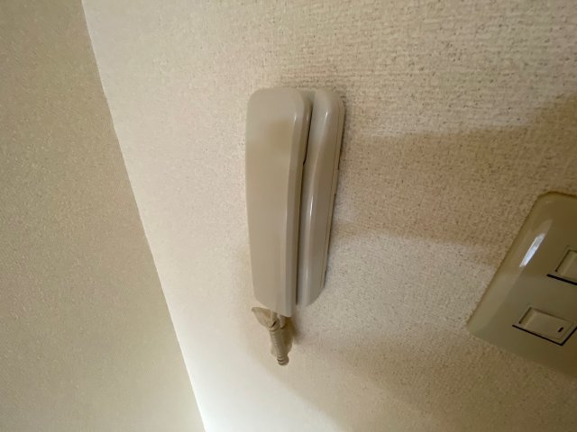 メゾンイシスのセキュリティ|同物件別部屋イメージ写真