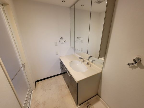 エイルマンション諏訪野エクシアの洗面所|スペースが確保できる洗面所です