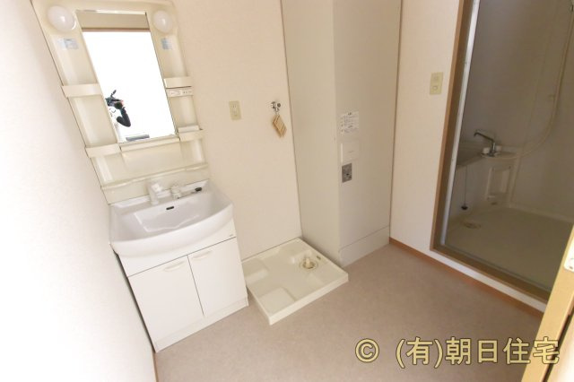 ドミール悠の洗面所