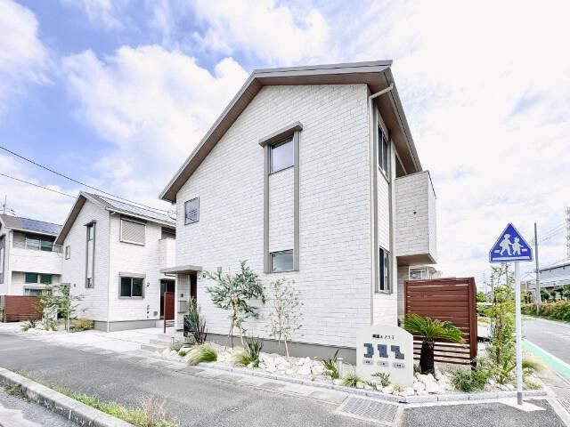 美園ミノリエ 花梨の画像