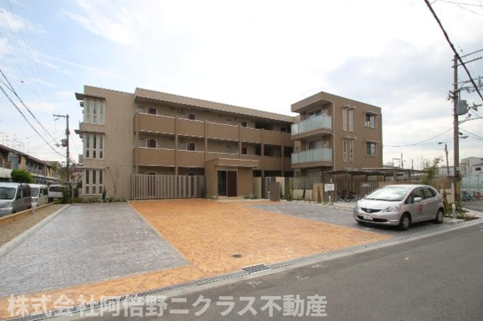 エクセルコート