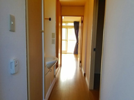 玄関からの眺めです。