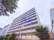 ドムス常盤の画像