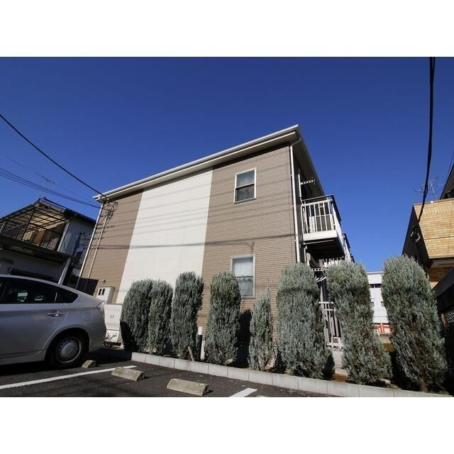 アムール　ＣＡＴＳ