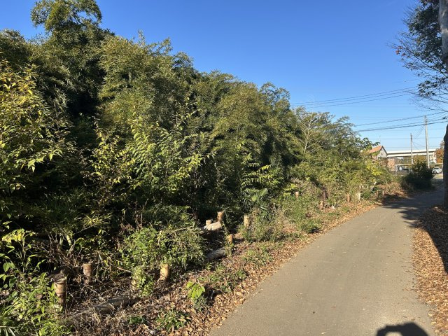 猪子町４１７坪の前面道路含む現地写真