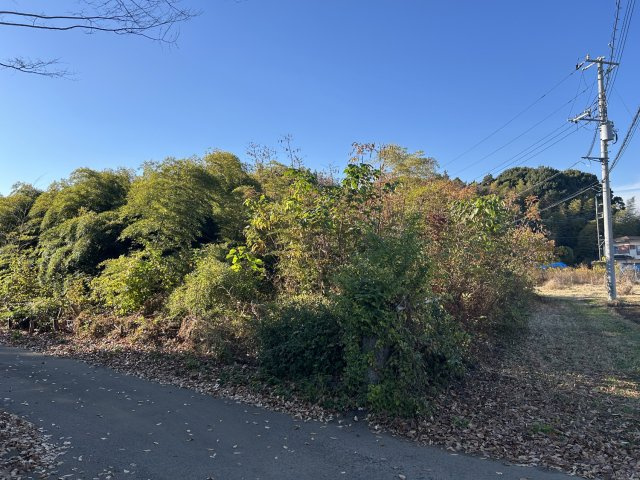 猪子町４１７坪の前面道路含む現地写真