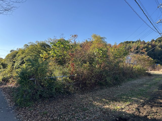 猪子町４１７坪の前面道路含む現地写真