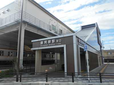 【周辺】 | チェリーセージ | 周辺