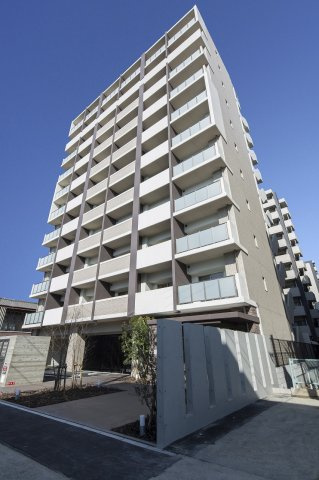 サヴォイブロンズガーデニア　8階