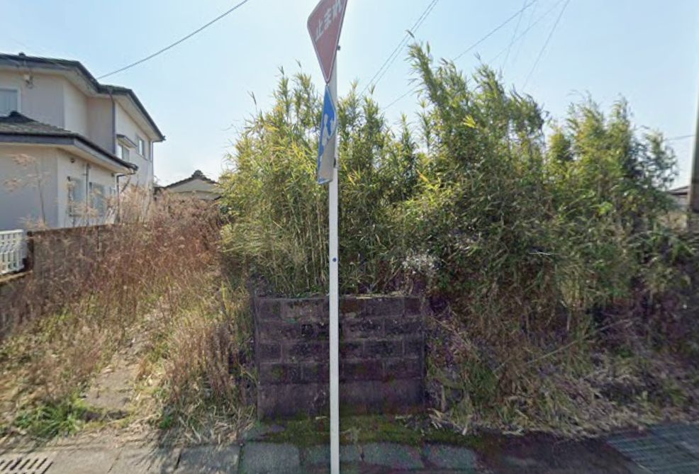 北諸県郡三股町大字樺山の売地の外観