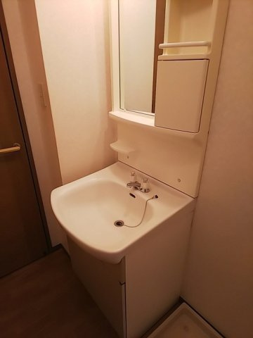 ドミールシャルマンの洗面所