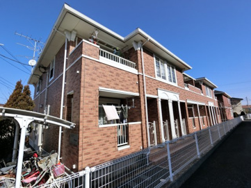 セレーノの画像