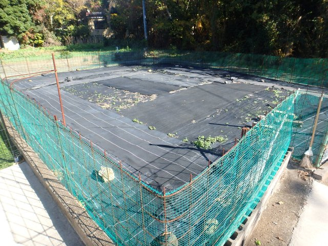 S1755G　須崎角売地の周辺