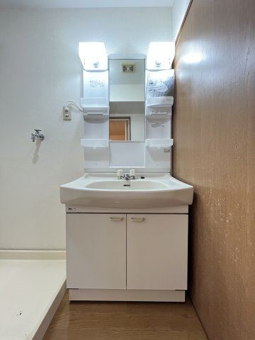 カメリアハイツの洗面所