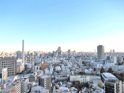 【その他】 | ブランズ渋谷桜丘 | バルコニーからの眺望
