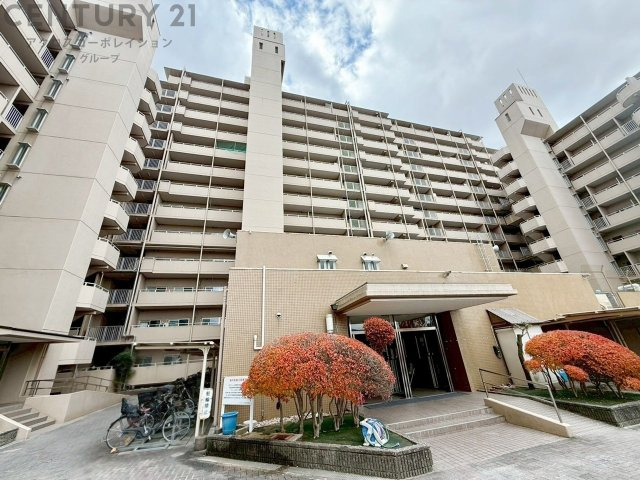 鉄骨鉄筋コンクリート造１３階建て