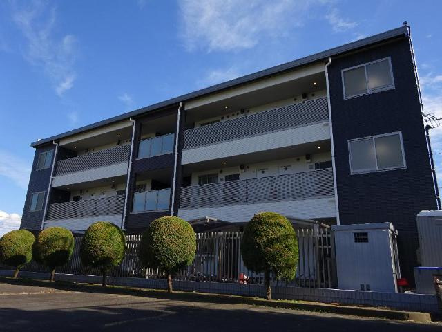 ＳＴＥＬＬＡ　ＫＯＵＳＥＩ（ステーラ　コーセイ）