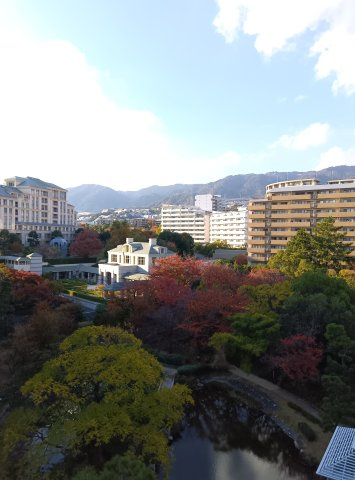 オーキッドコート湖南館の展望