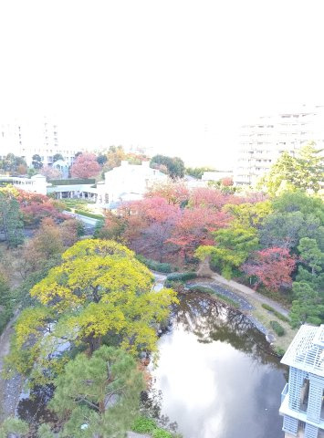 オーキッドコート湖南館の展望