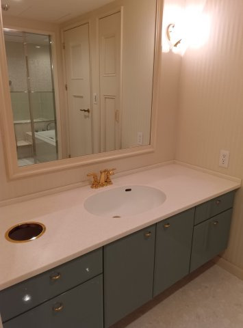 オーキッドコート湖南館の洗面所