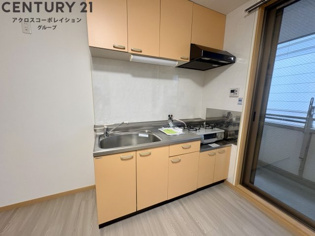 テルヴェのキッチン