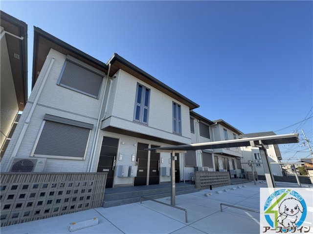 サワーソレアードB