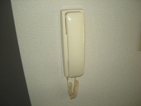 サラセニアのセキュリティ