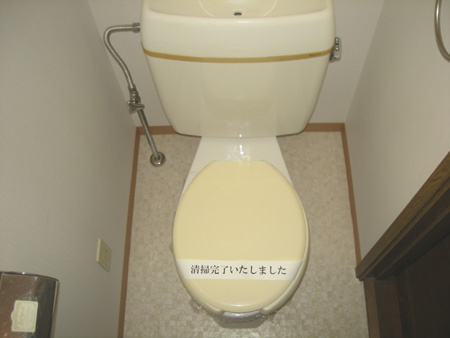 サラセニアのトイレ|トイレも気になるポイント