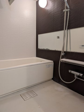 ラ・シルフィード博多駅南の浴室