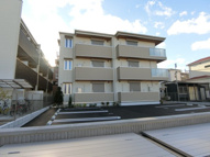 サニーグリーンの画像