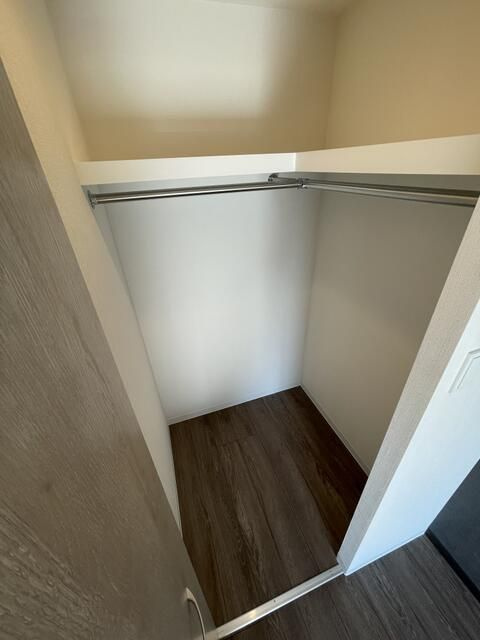 ＴＨＥ　ＡＲＣＴＵＲＵＳ　ＳＰＩＣＡの収納