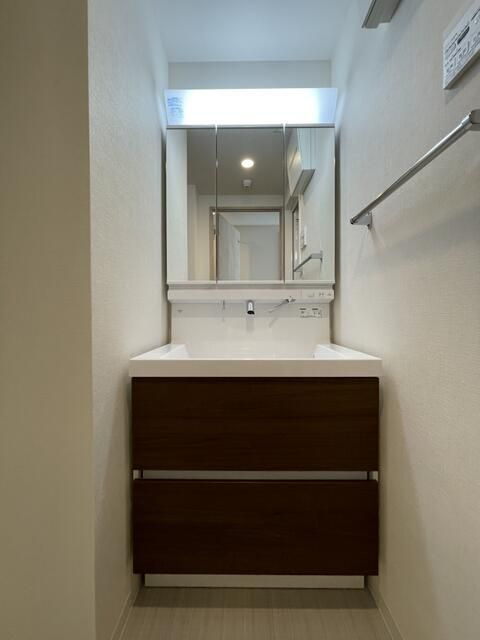 ＴＨＥ　ＡＲＣＴＵＲＵＳ　ＳＰＩＣＡの洗面所