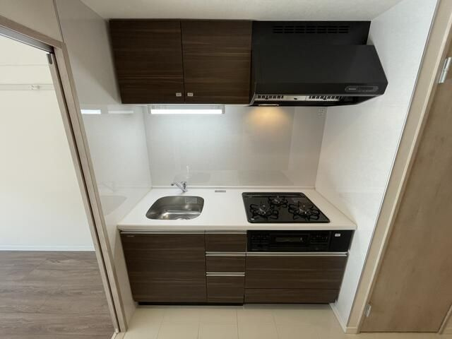 ＴＨＥ　ＡＲＣＴＵＲＵＳ　ＳＰＩＣＡのキッチン