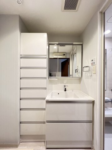 オーキッド王寺の独立洗面台|収納充実の洗面所