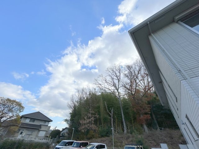 四季の風の展望