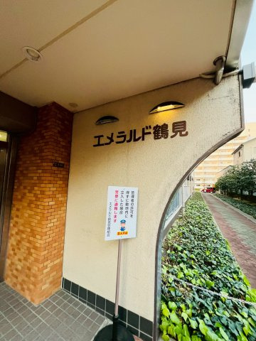 エメラルドマンション鶴見緑地のエントランス