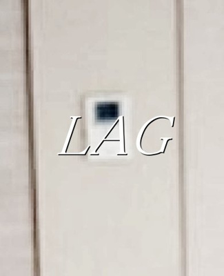 【セキュリティ】 | メゾン落合 | モニター付インターホンです。