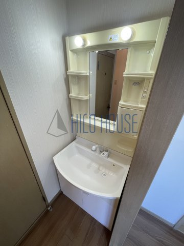 アメニティⅡ番館の洗面所