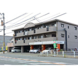 スピカ恒星の画像